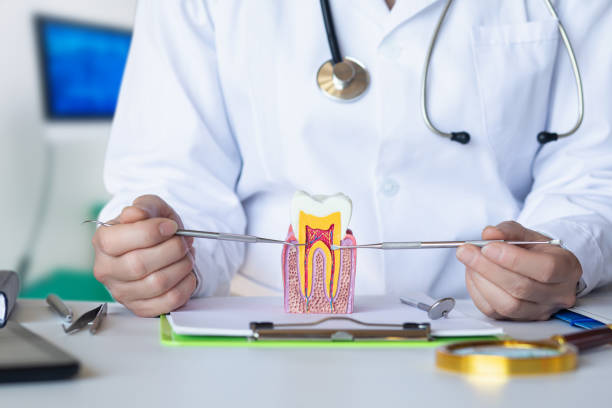 Best Emergency Tooth Extraction in Warren, OH